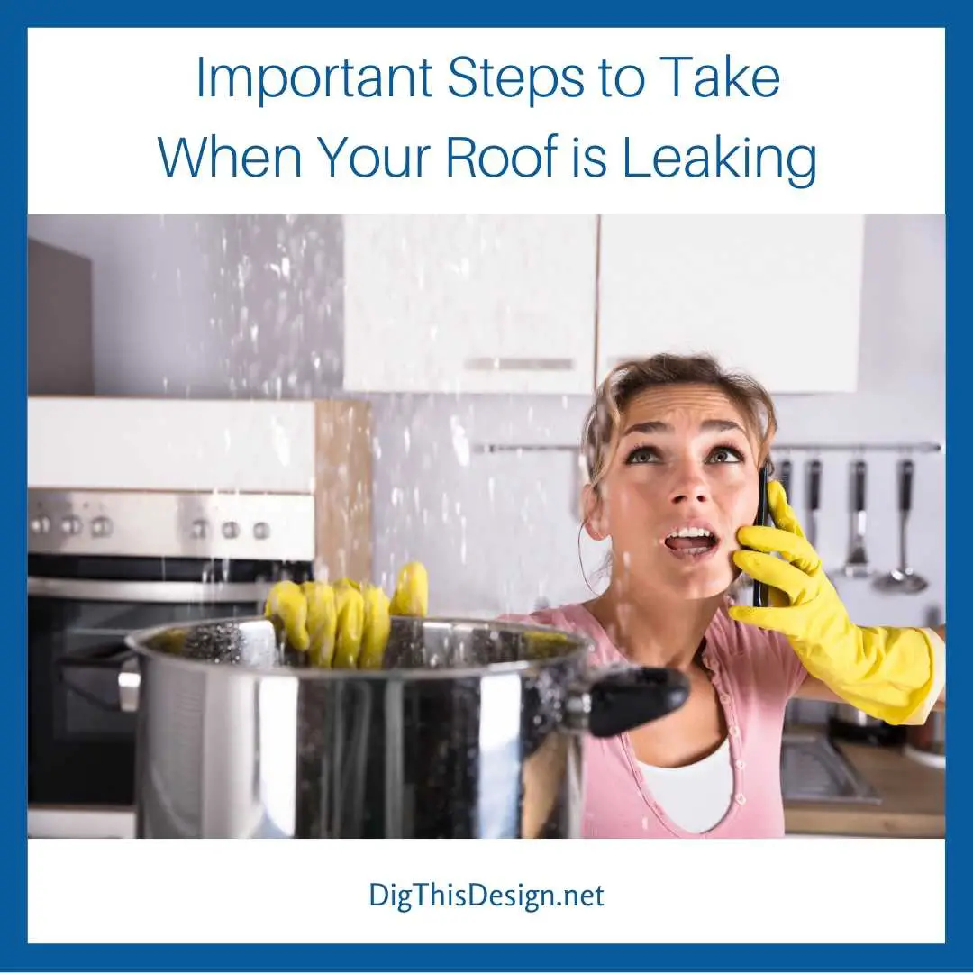 4 Immediate Actions to Take When Your Roof is Leaking