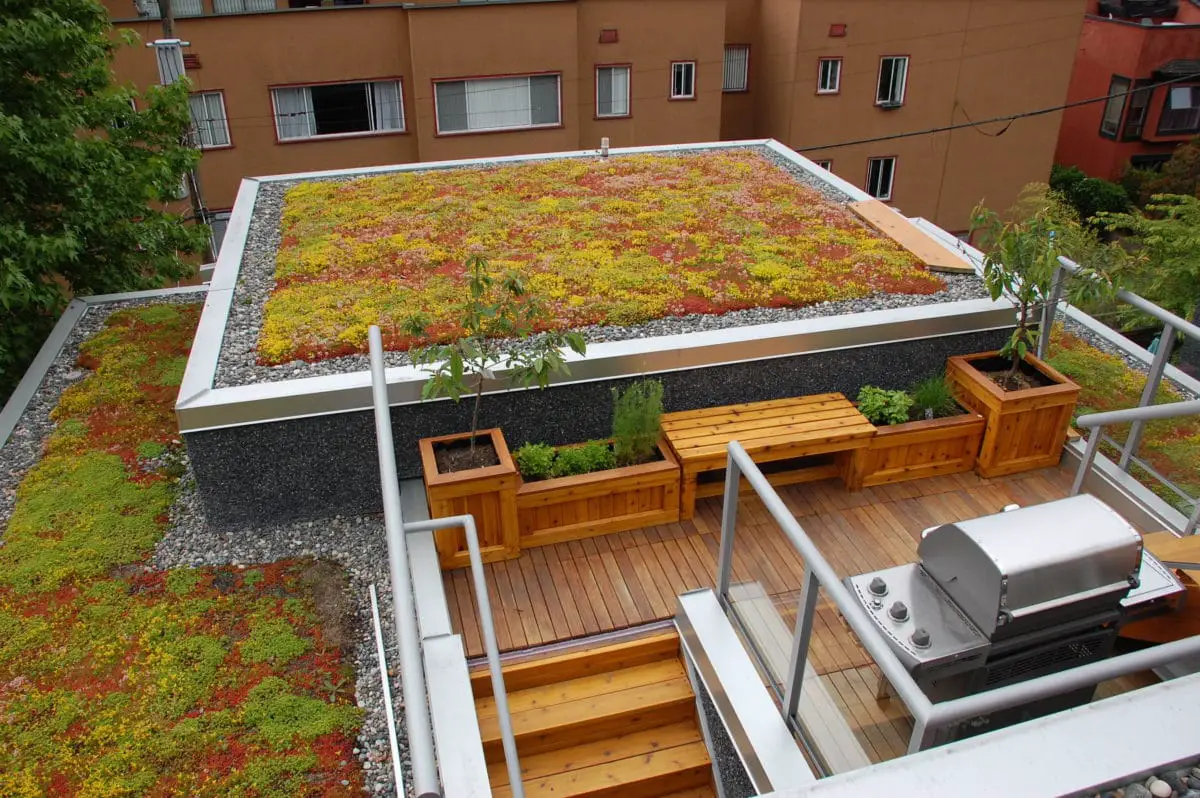 5 Ways to Create a Thriving Green Roof