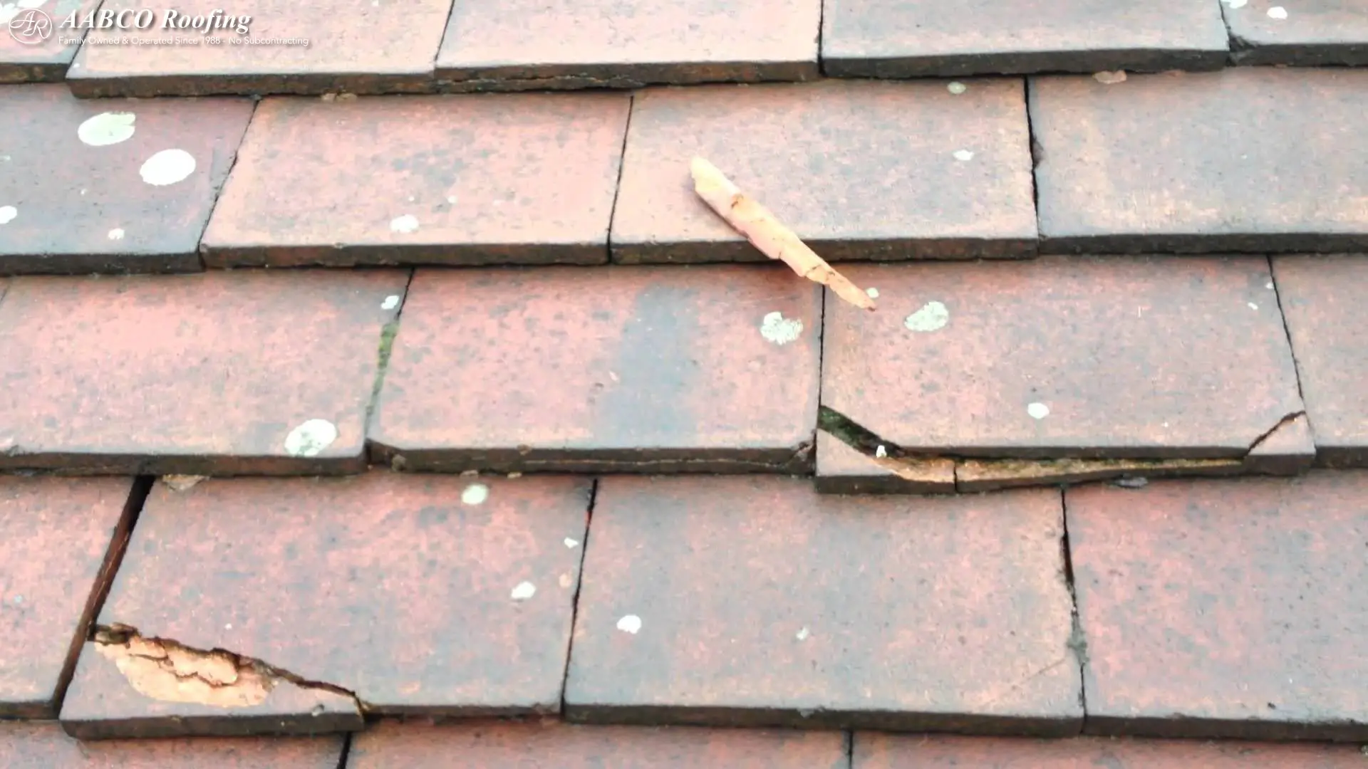 A Small Cracked Roof Tile and the Big Problems It Can Cause