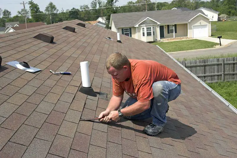 Are Roof Shingle Stains a Problem? Adanac Roofing Blog