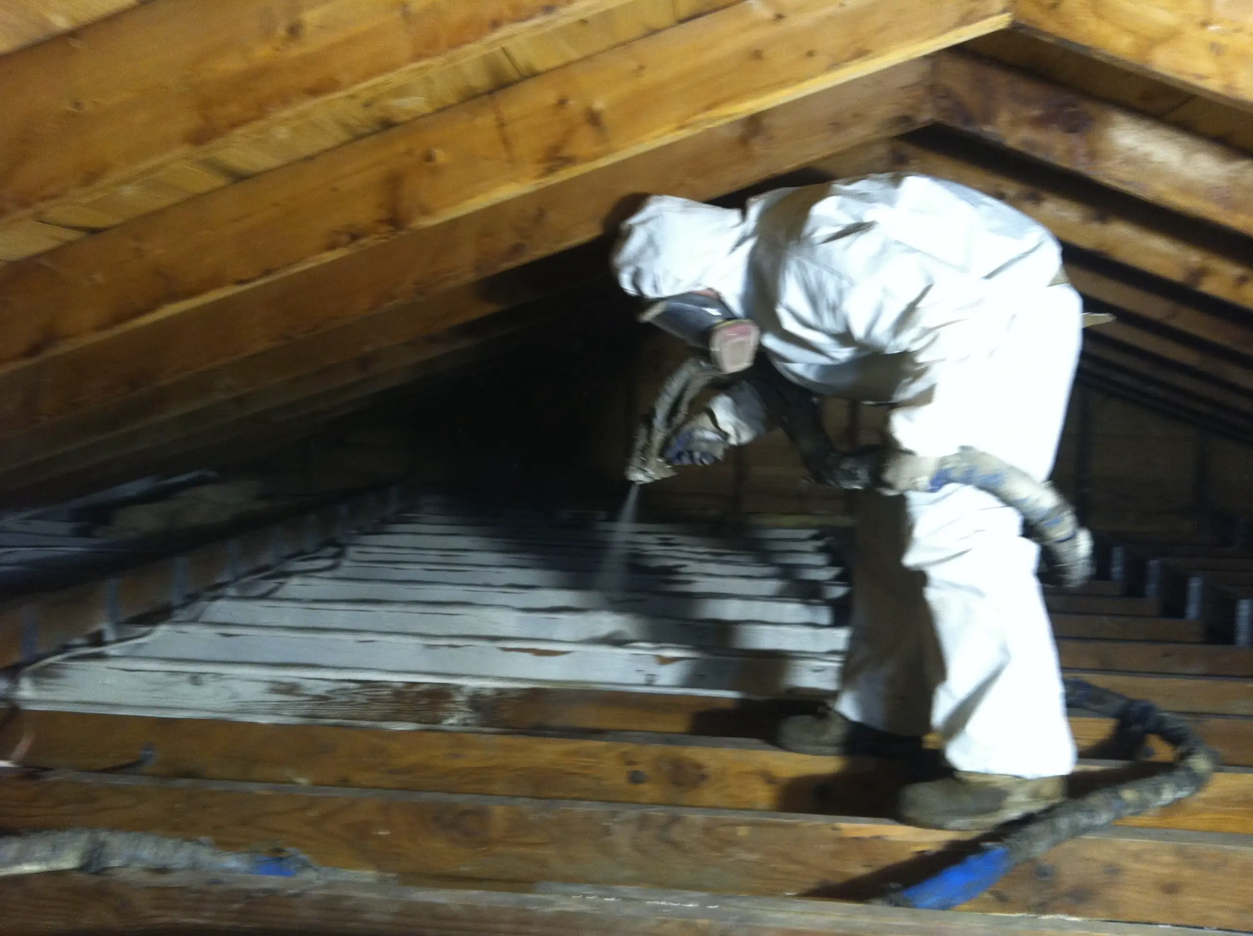 attic max attic insulation  Greener World Solutions ...
