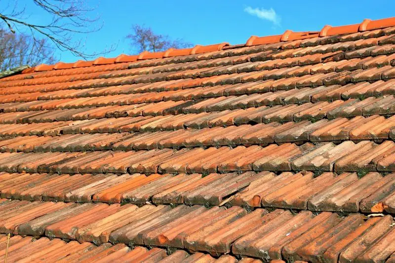 Best Roofing Materials In Australia For 2020