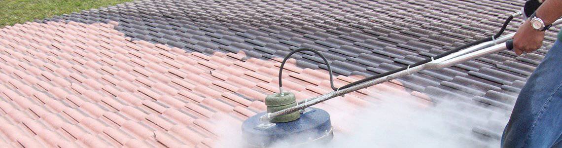 Best Tile Roof Cleaning Services, Iowa