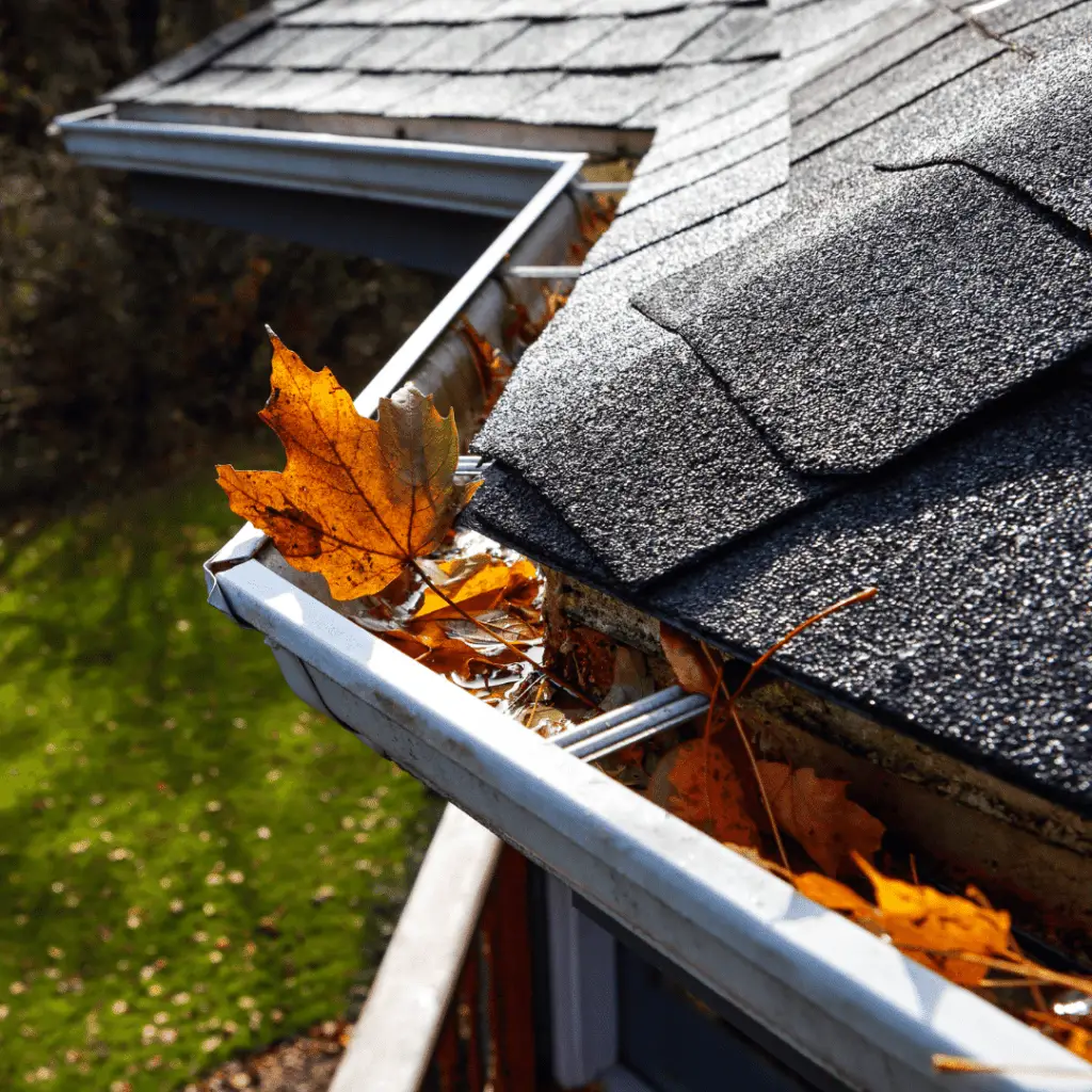 Best Time of Year to Replace a Roof?