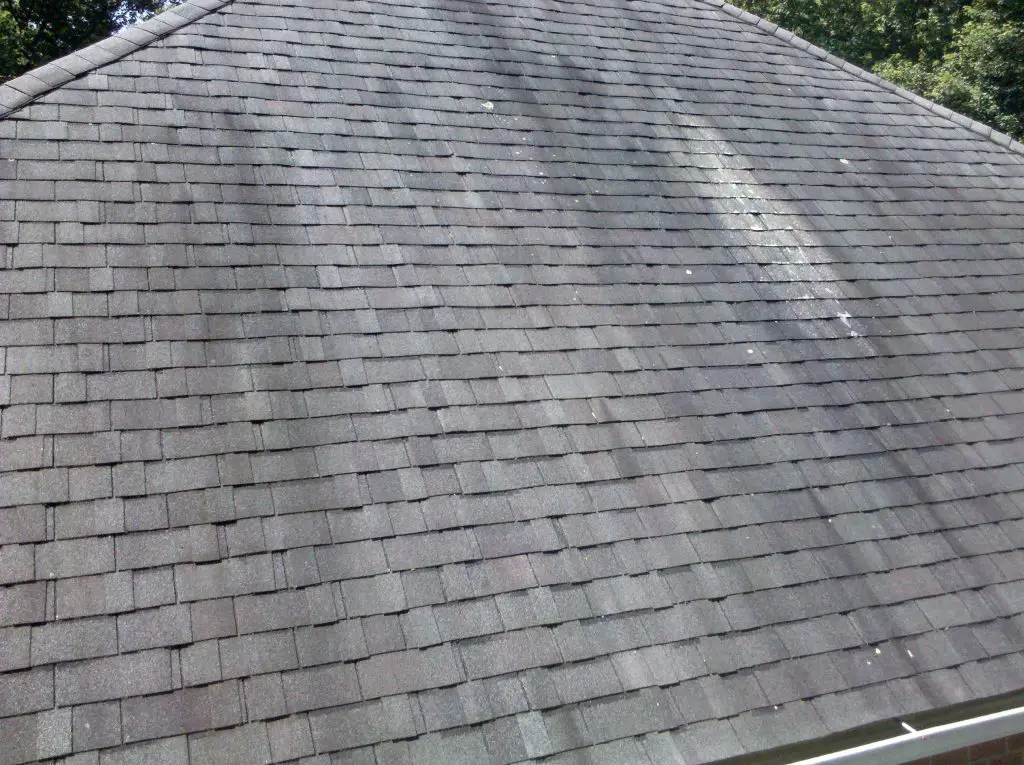 Black Stains on the Roof