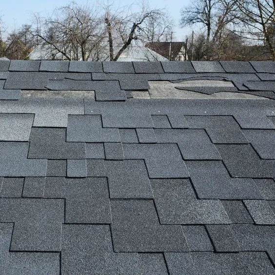 Can you repair your own roof?