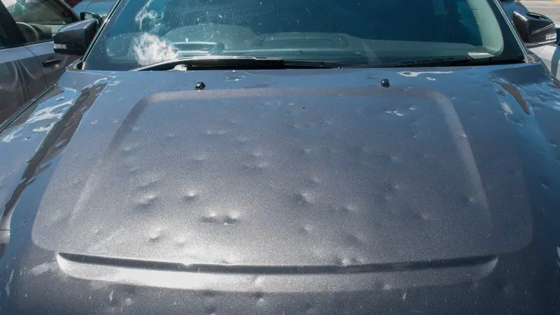 Car hail damage repair services at Collex Collision Experts