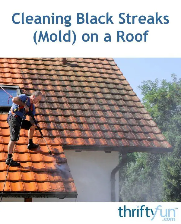 Cleaning Black Streaks (Mold) on a Roof