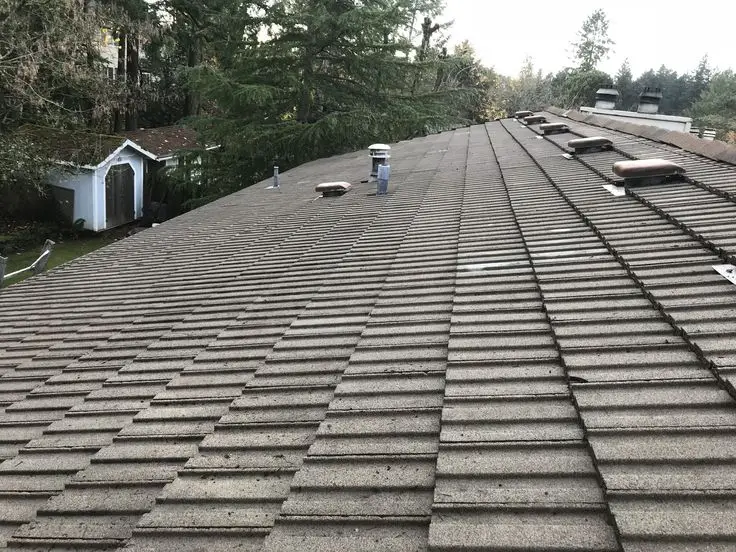 Cleaning Concrete Roof Tiles