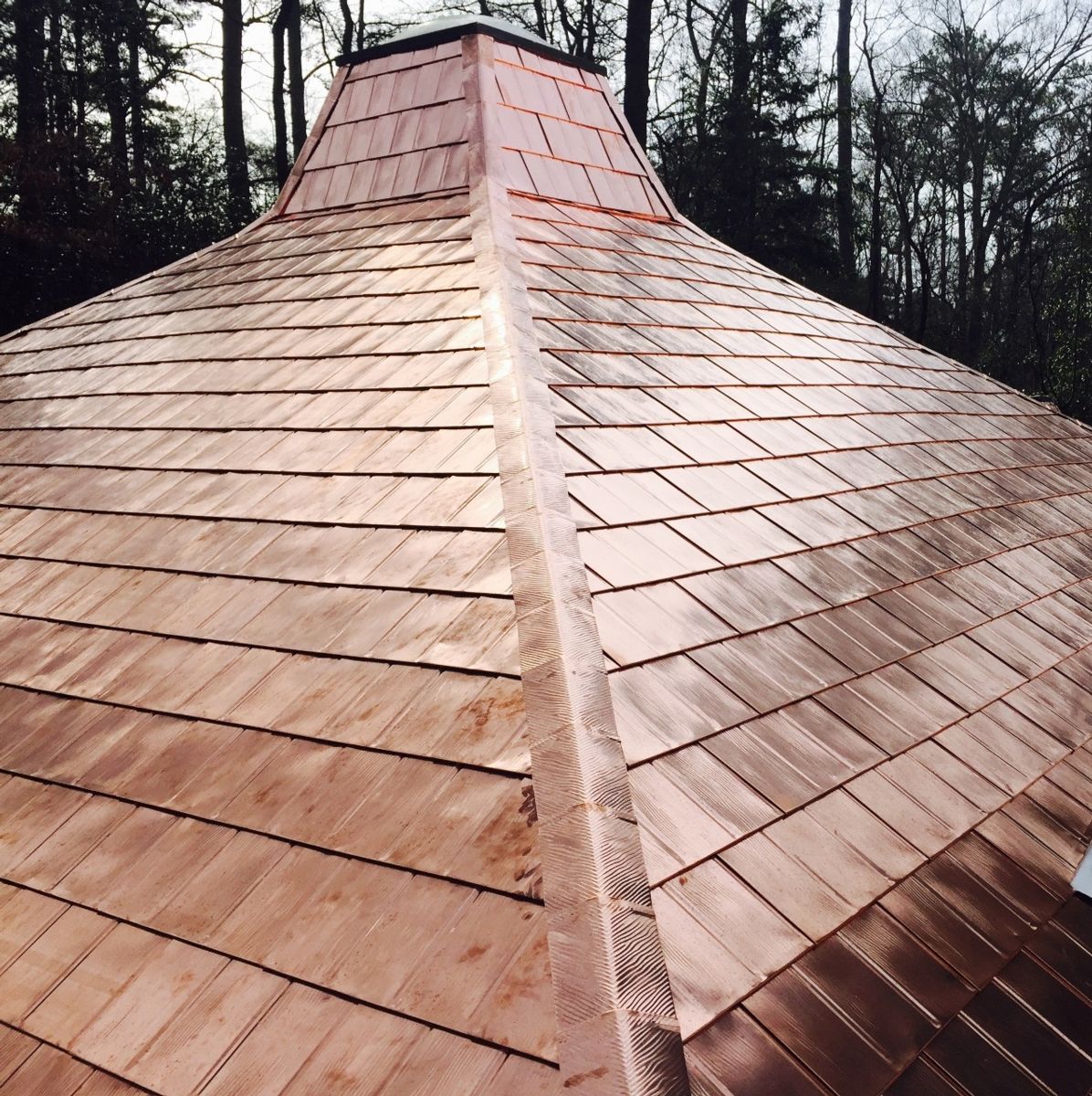 Copper Roofing (478) 745