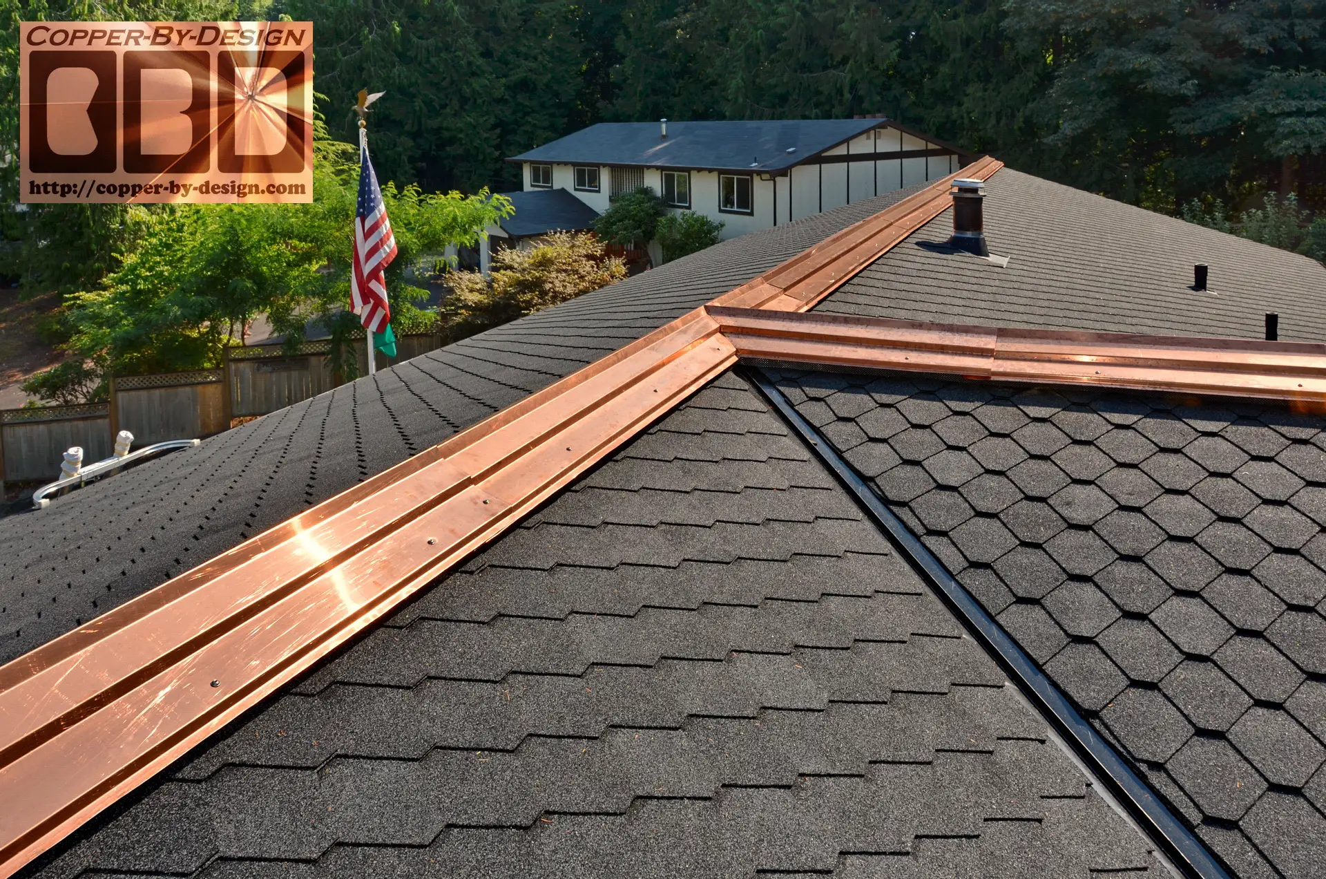 Copper Strips For Roof Moss Control