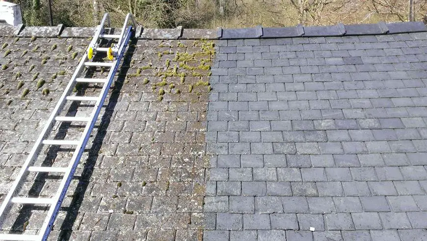 Cost of Removing Roof Moss Manually