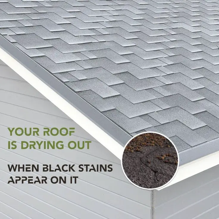 Do you have Black Stains on your Roof? in 2020