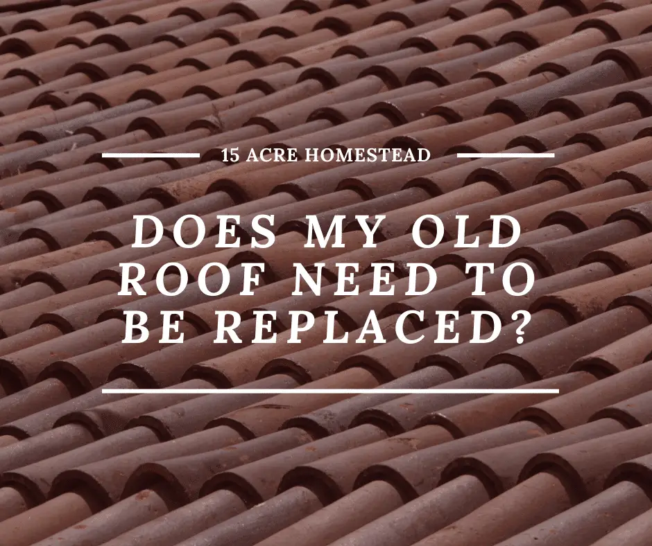 Does My Old Roof Need To Be Replaced?