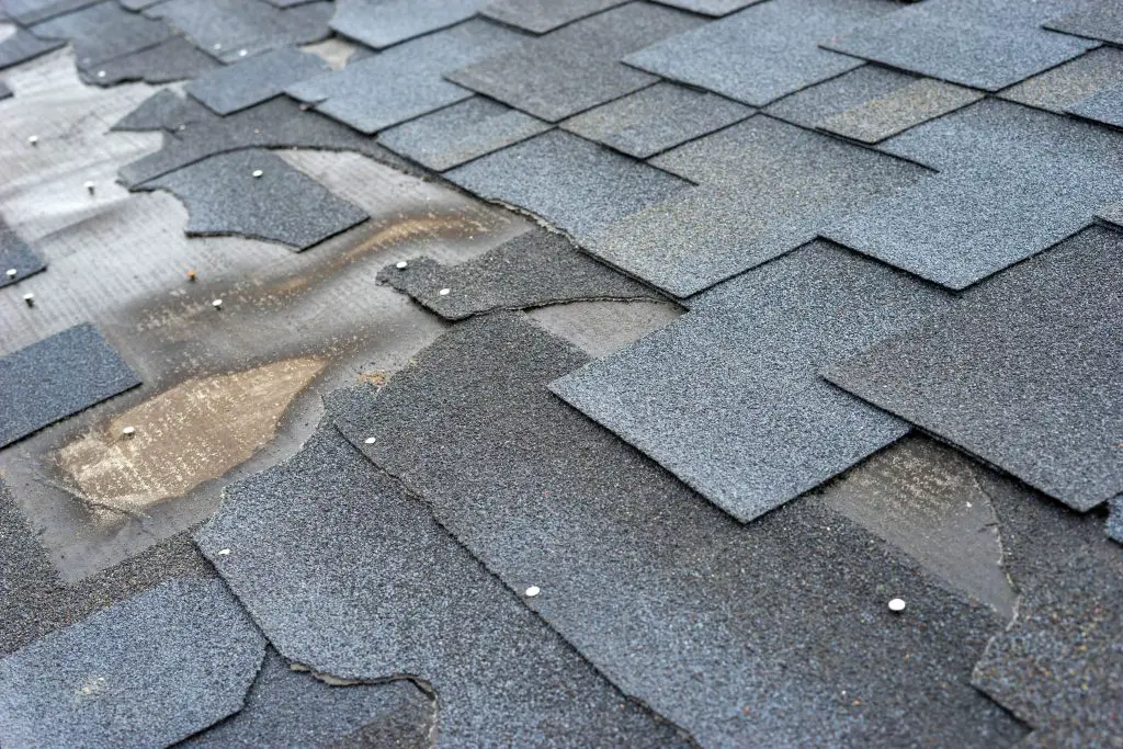 Finding Hidden Roof Damage After a Storm in Florida ...