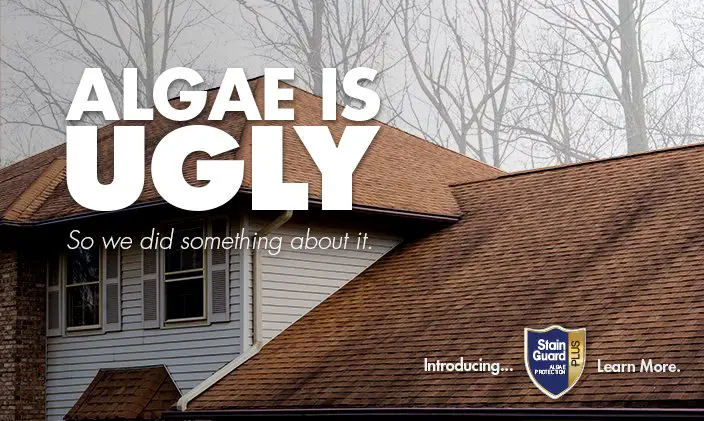 GAF Roof Shingles Review
