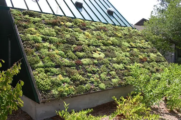 Green Roofs: The Space