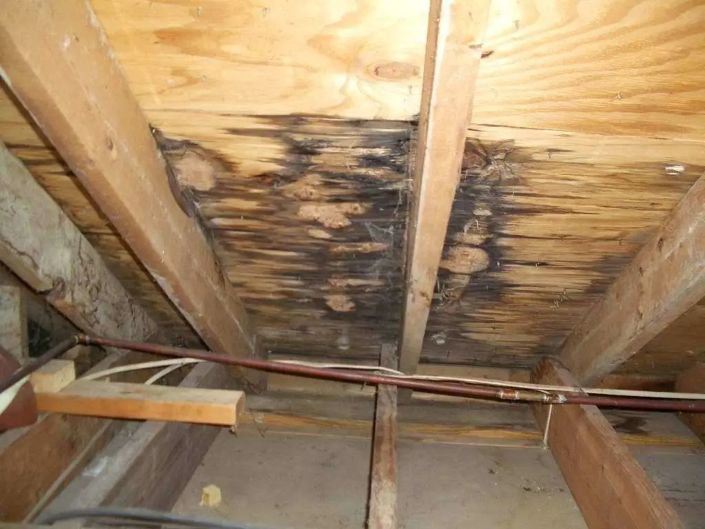 Help! What Is Causing My Roof Leak? Let Us Help You ...