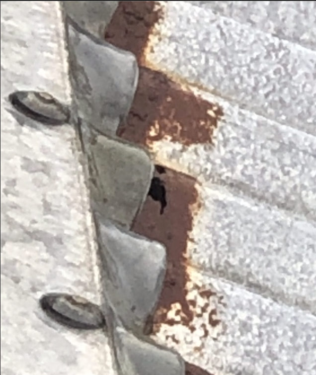 Hole in metal roof : diynz