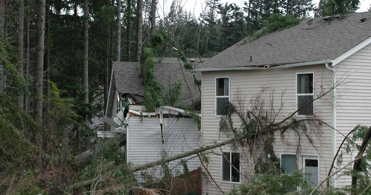 Home Insurance and Roof Damage after a Storm
