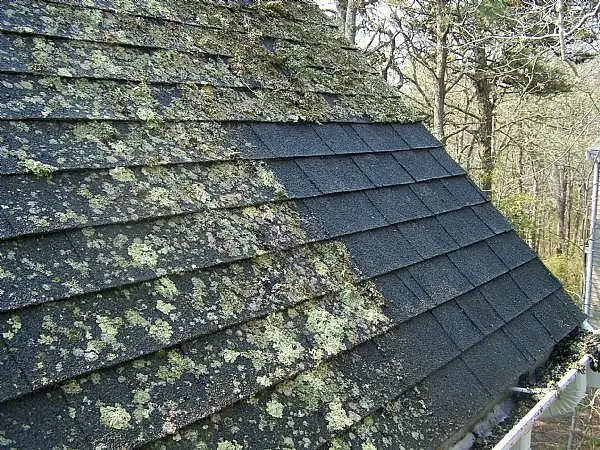How do I get rid of moss on my roof with vinegar?