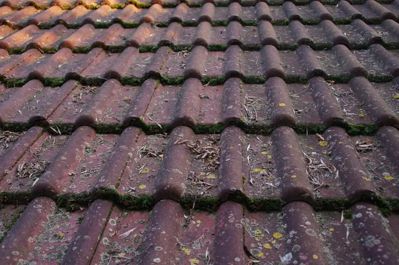 How Does Cleaning Your Roof Regularly Keep It from Being Damaged?