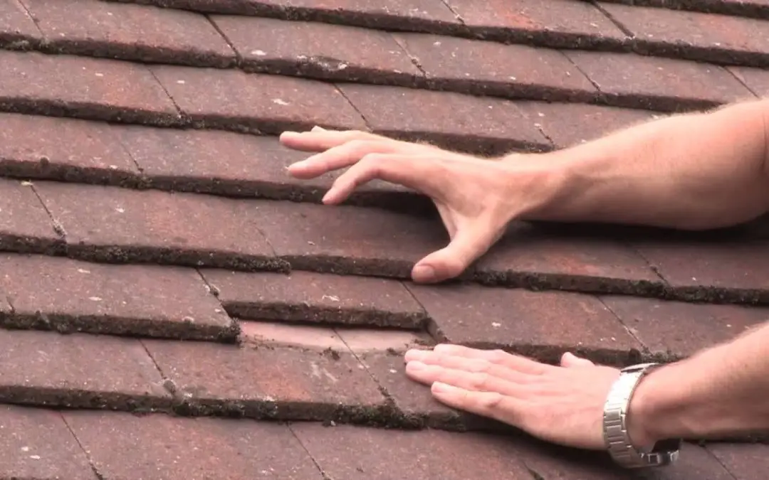 How Often Should You Inspect Your Roof for Damage? (and ...