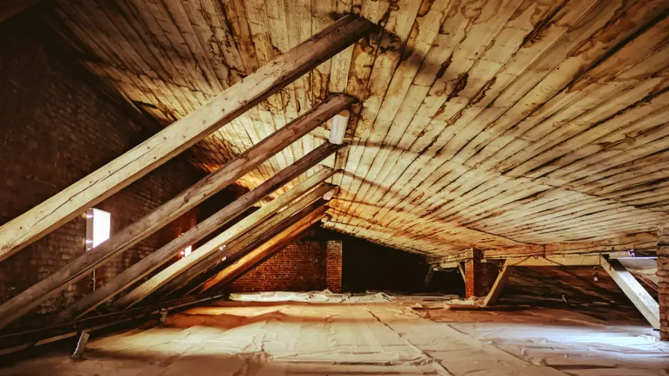 How To Find A Roof Leak With No Attic Access : Attic Mold ...