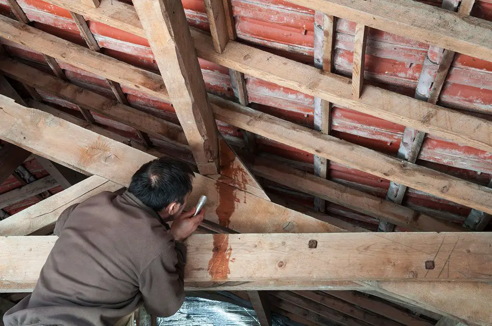 How to fix a leaking roof from the inside (Quick tips)