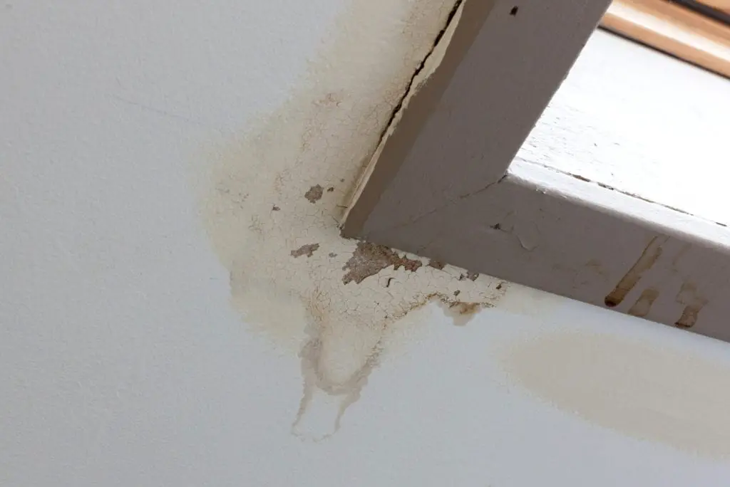 How to Get Rid of Mold in the Attic