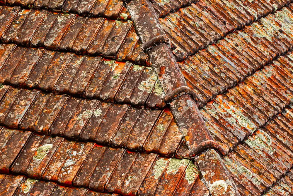 How To Get Rid Of The Most Common Roofing Issues?