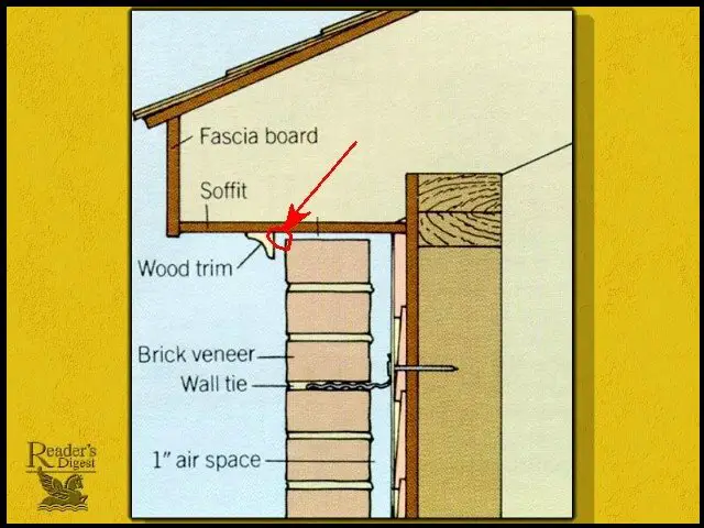 How to get rid of wasps at the soffits.