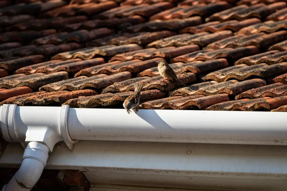 How to Install Rain Gutters and Protect Roofs