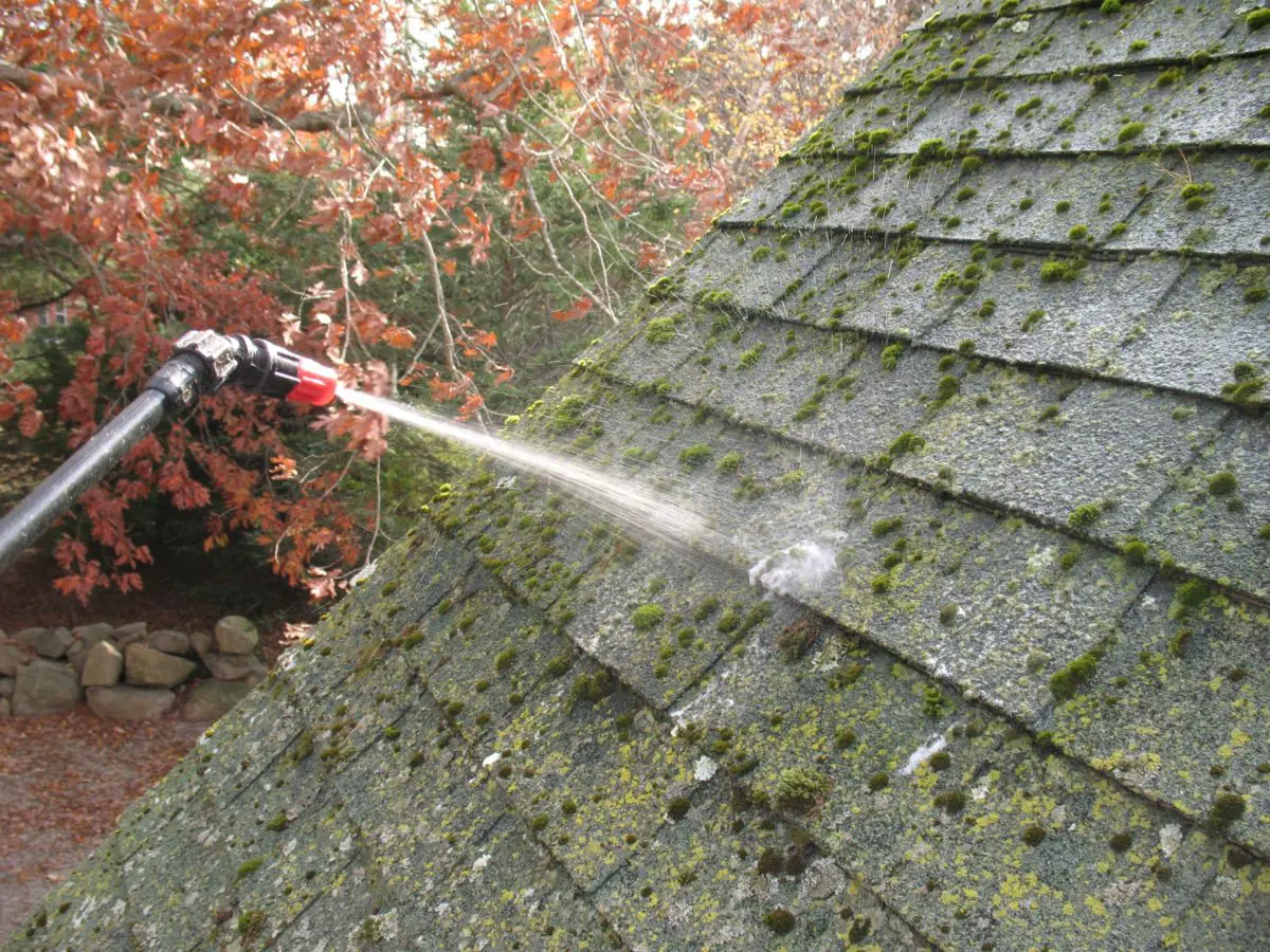 How to Remove Lichen and Moss from Your Roof