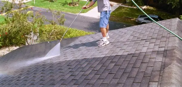 How To Remove Mold From Your Rooftop