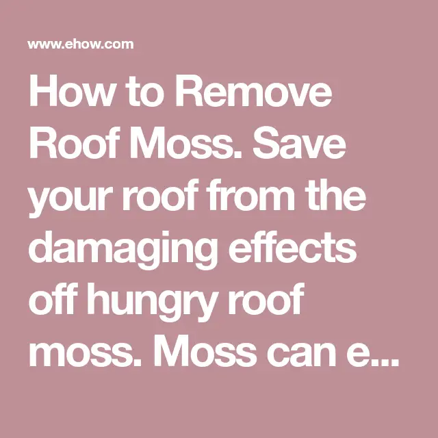 How to Remove Roof Moss. Save your roof from the damaging effects off ...