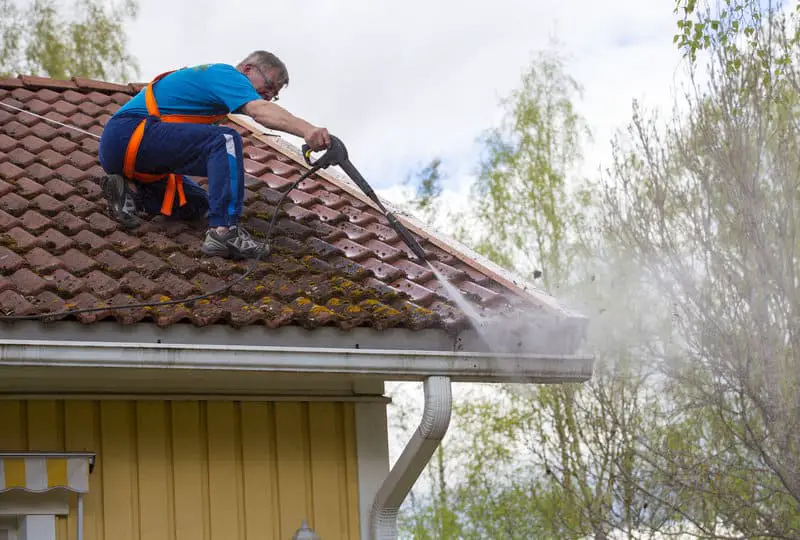How To: Roof Cleaning for Algae and Moss