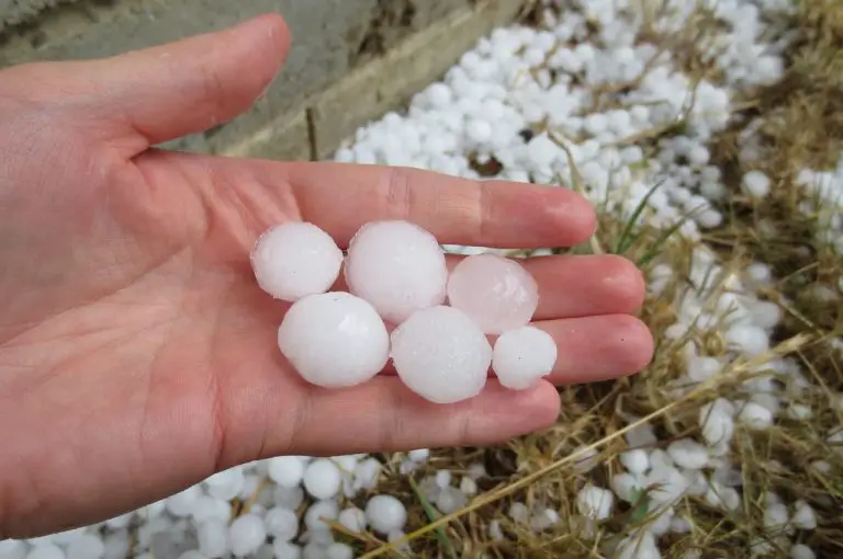 How to Spot Roof Hail Damage in Omaha