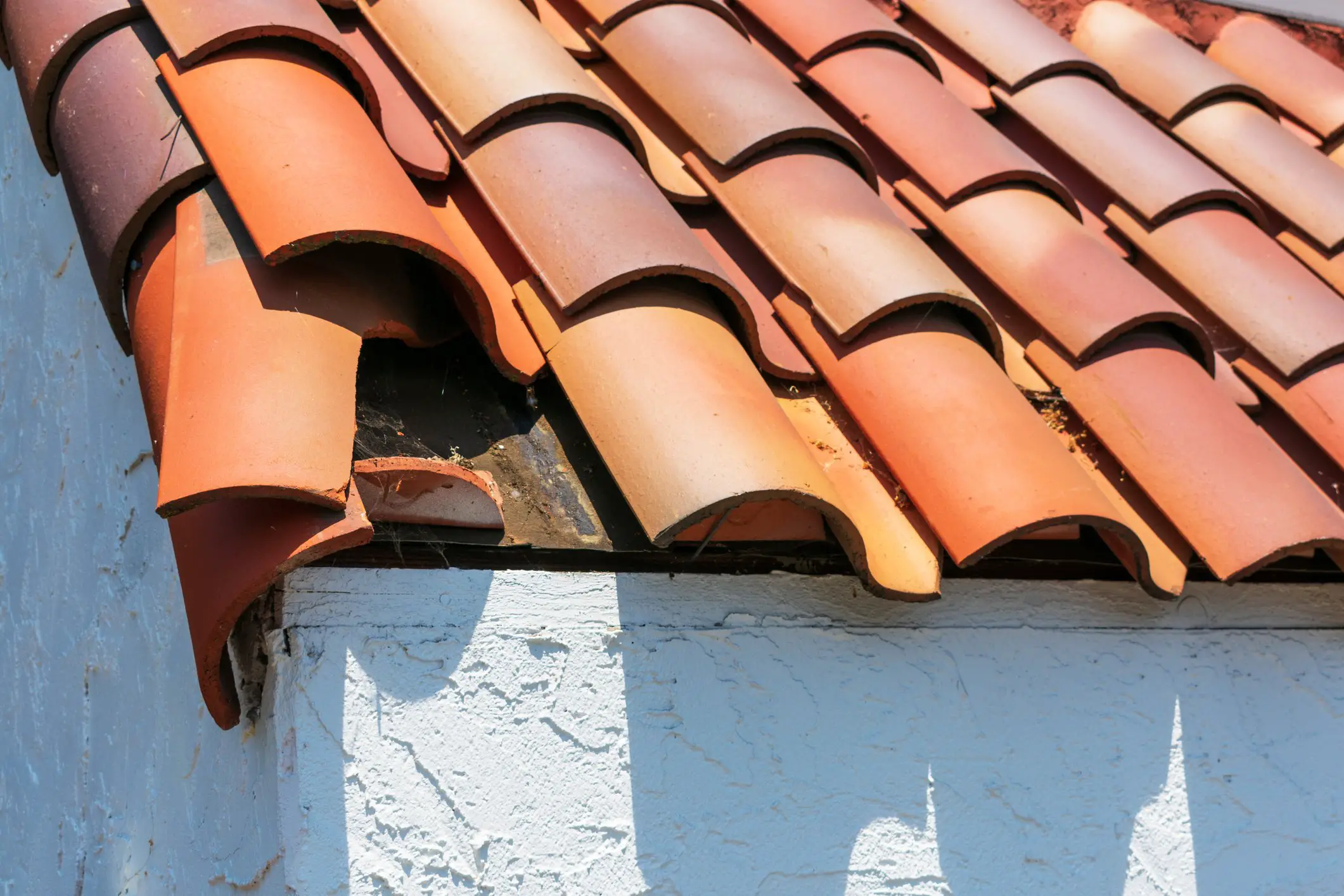 Identifying Damage to Concrete and Clay Roof Tiles