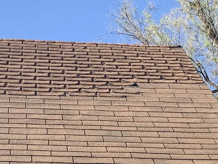 In Need of a New Roof