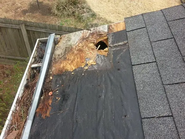 Missing Shingles on Peachtree City Roof