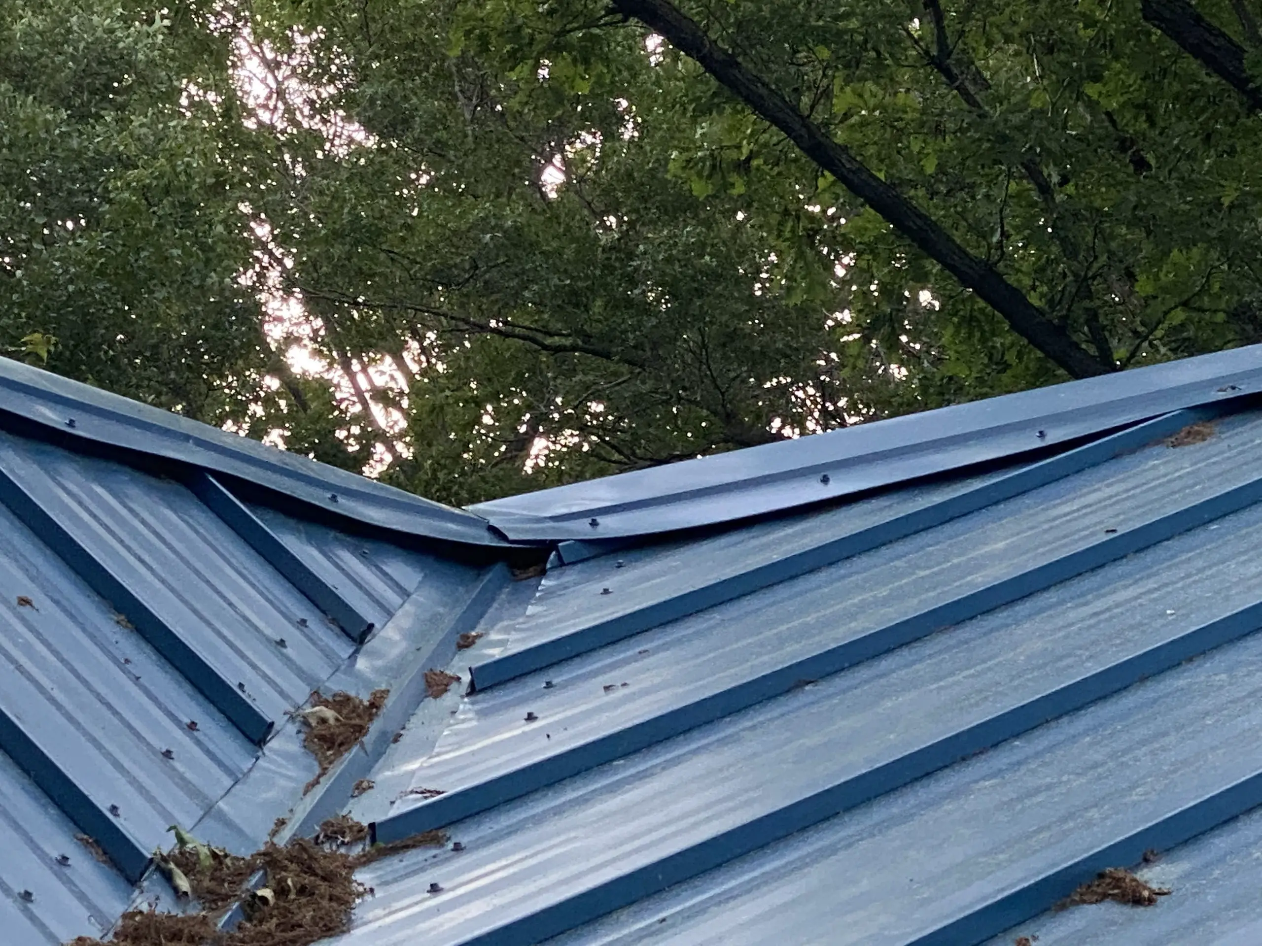 More Pictures of a Bad ...: " My Neighbor Metal Roof more ...