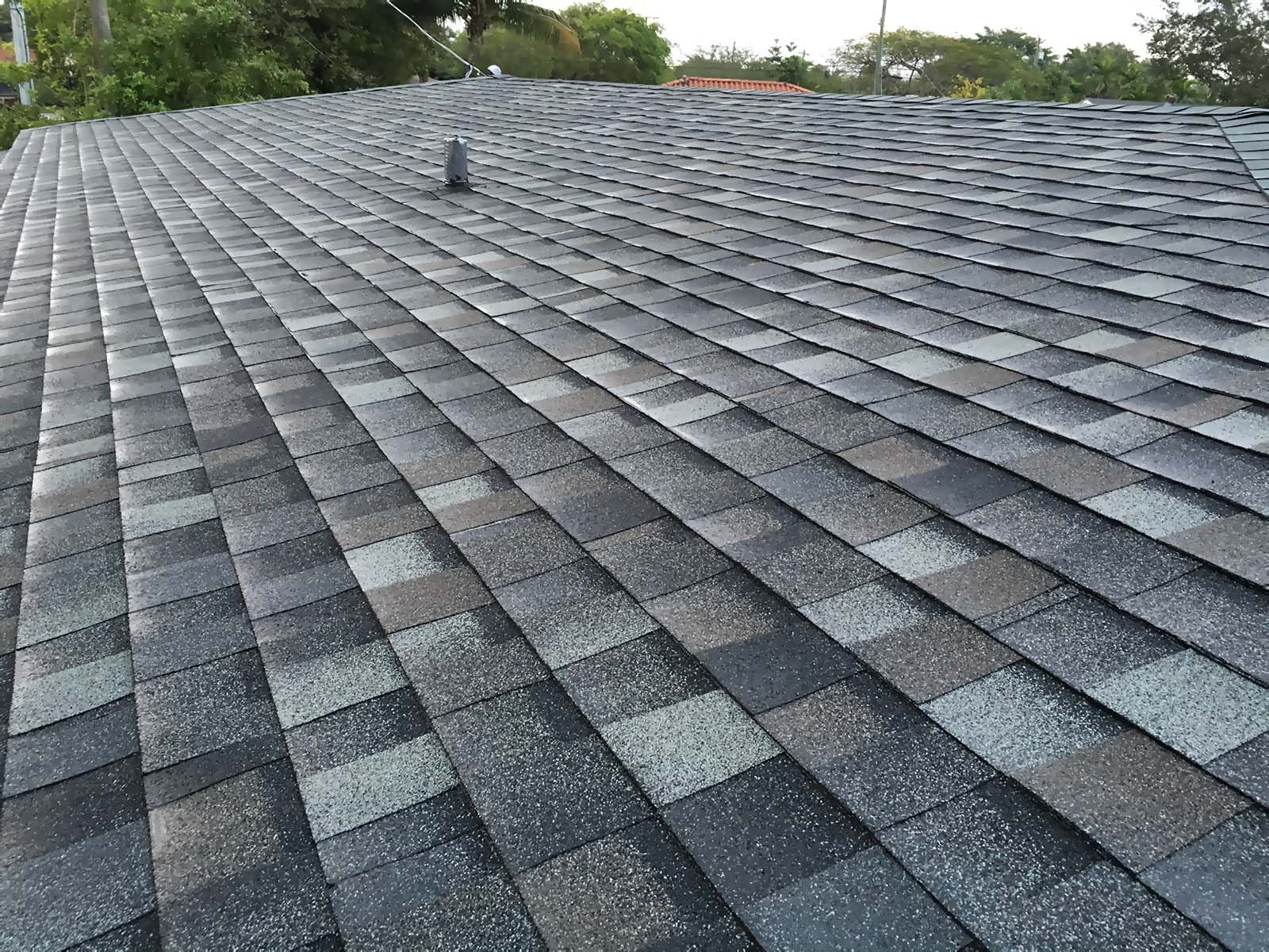 New Dimensional Shingle Roof in West Miami  Miami General Contractor