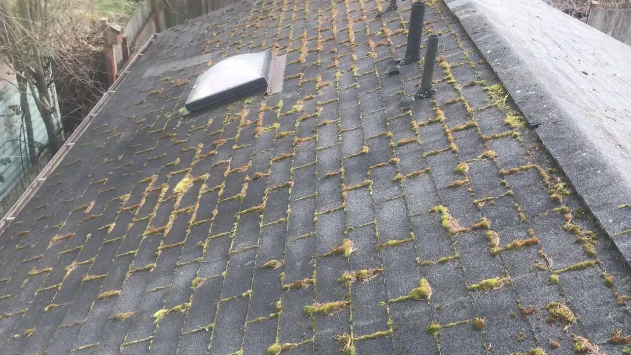 Part 2: soft washing roof with heavy moss and algae. How ...