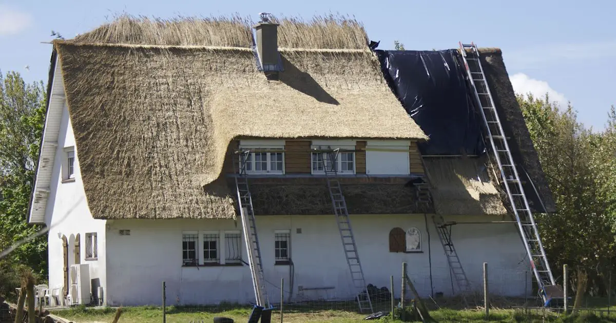 Pitched roof insulation: Thatch roof replacement