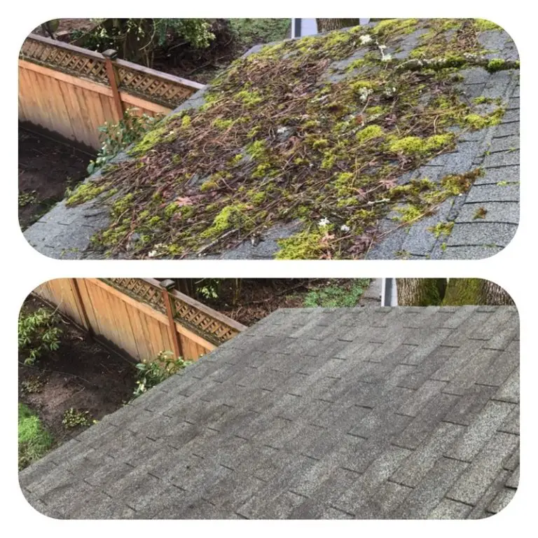 PORTLAND ROOF MOSS REMOVAL