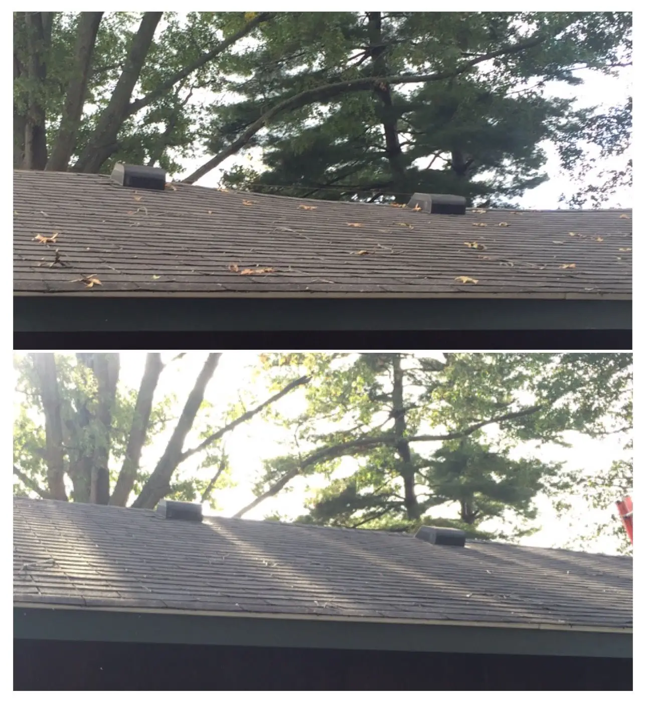 Repair sagging roof along top ridge