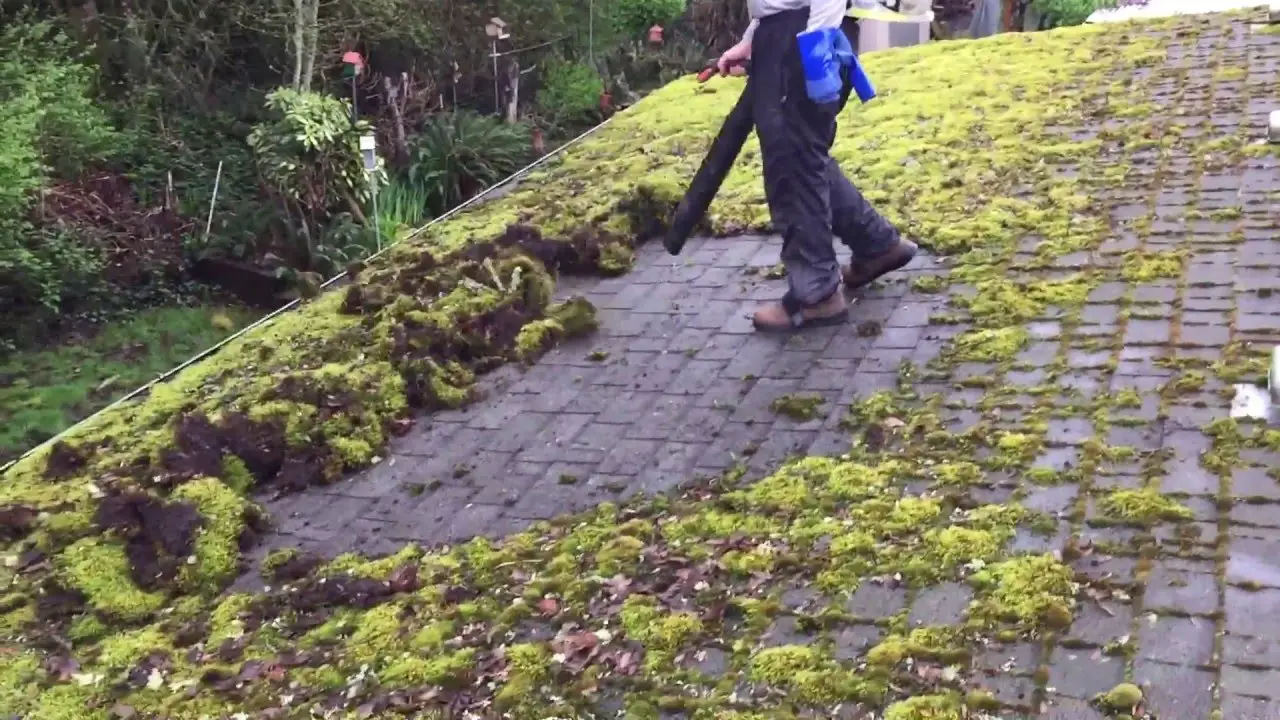 Roof Clean Moss Removal