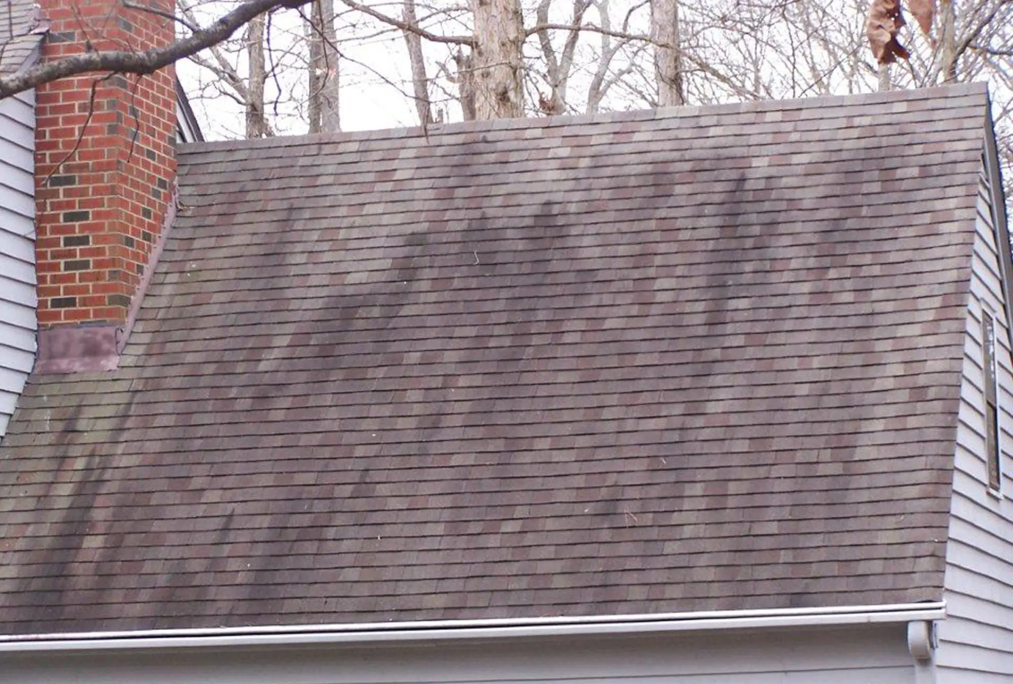 Roof Cleaning: Are Those Black Streaks on My Roof ...