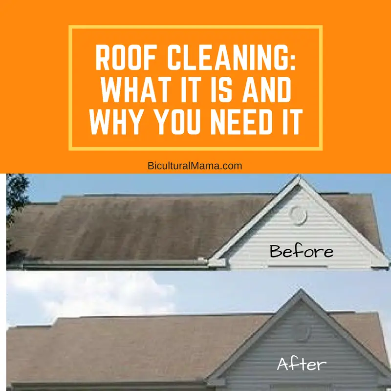 Roof Cleaning: What It Is and Why You Need It #NLZCleaning Discount ...